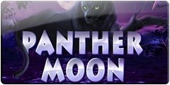 Panter Moon