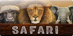 Safari