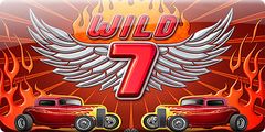 Wild 7