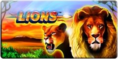 Lions