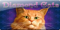 Diamond Cats