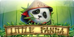 Little Panda