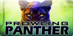 Prowling Panther