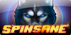 Spinsane