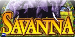 Savanna