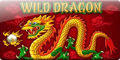 Wild Dragon